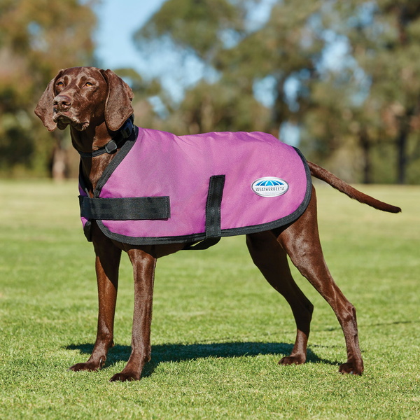 Weatherbeeta Comfitec Classic Dog Coat 1001617 - Pink
